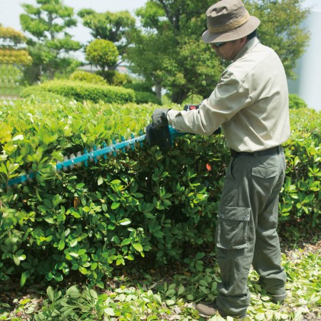 Cordless Hedge Trimmer DUH752